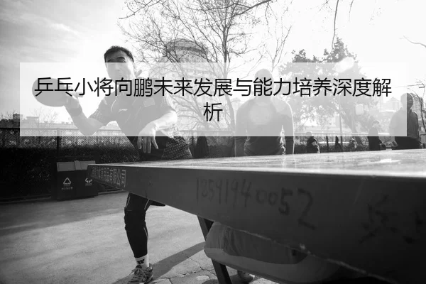 乒乓小将向鹏未来发展与能力培养深度解析